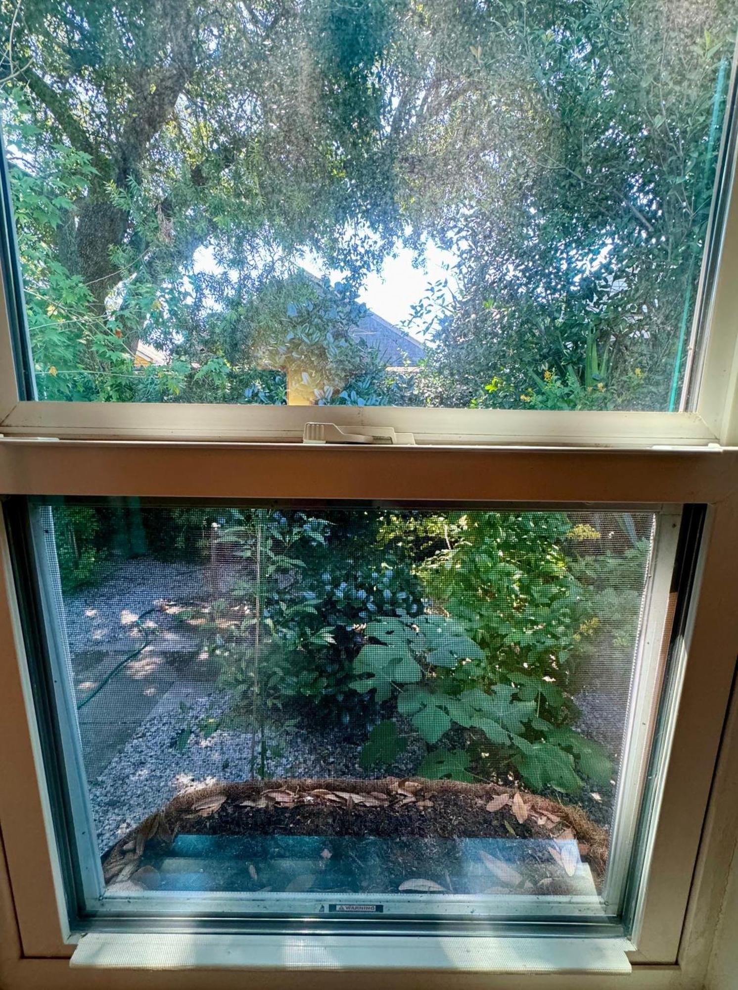 One Bedroom Apartment With Hot Tub 2 Blocks To Magazine Street Nueva Orleans Exterior foto